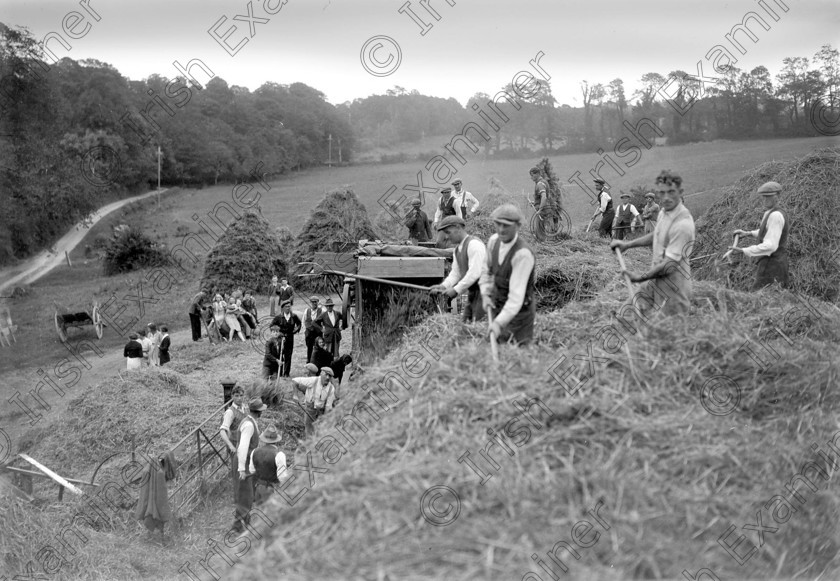 861851 
 Threshing scene at Hegarty's farm, Douglas, Cork Ref. 218C old black and white farmers labourers harvesters corn Grange Frankfield