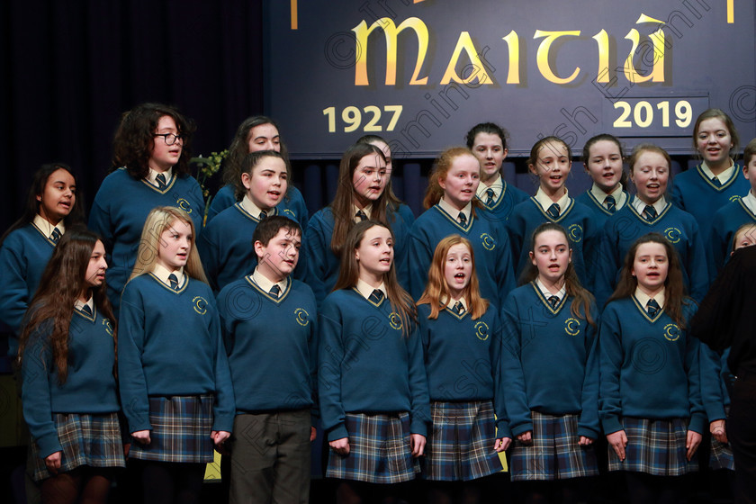 Feis27022019Wed59 
 56~60
Glanmire Community School singing “It’s Only a Paper Moon” and “Can You Hear Me”

Class: 82: “The Echo Perpetual Shield” Part Choirs 15 Years and Under Two contrasting songs.

Feis Maitiú 93rd Festival held in Fr. Mathew Hall. EEjob 27/02/2019. Picture: Gerard Bonus
