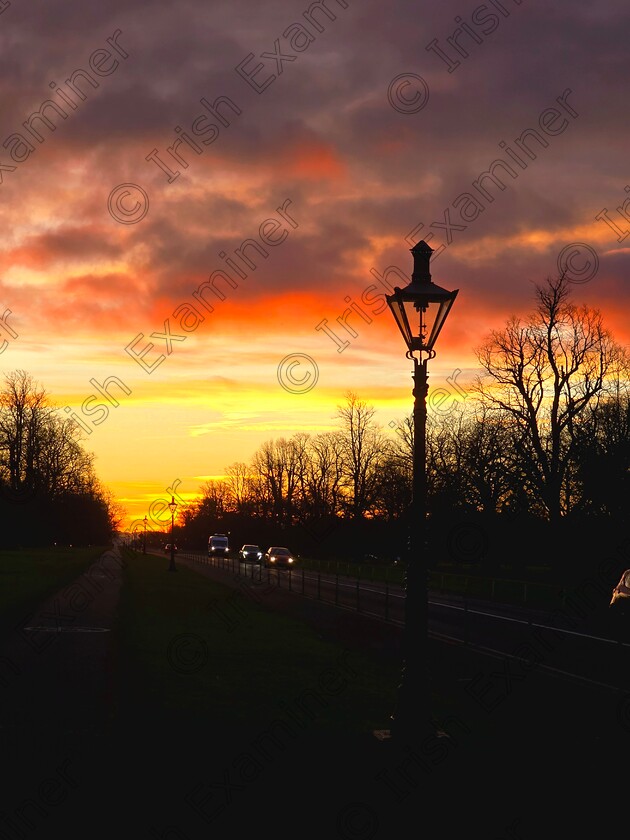 20241230 083918 
 Phoenix Park Sunrise