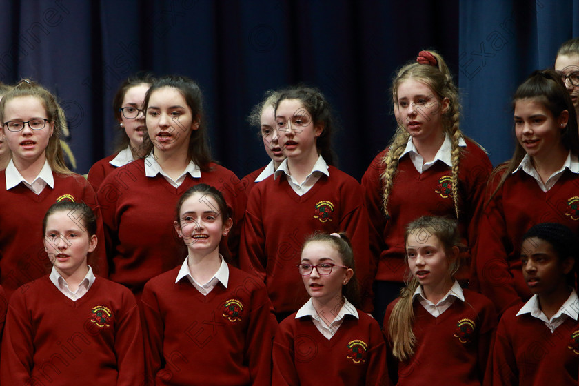 Feis27022019Wed42 
 39~42
Loreto 1st Year B singing “Bessie The Black Cat” by Peter Jenkins conducted by Sharon Glancy.

Class: 83: “The Loreto Perpetual Cup” Secondary School Unison Choirs

Feis Maitiú 93rd Festival held in Fr. Mathew Hall. EEjob 27/02/2019. Picture: Gerard Bonus