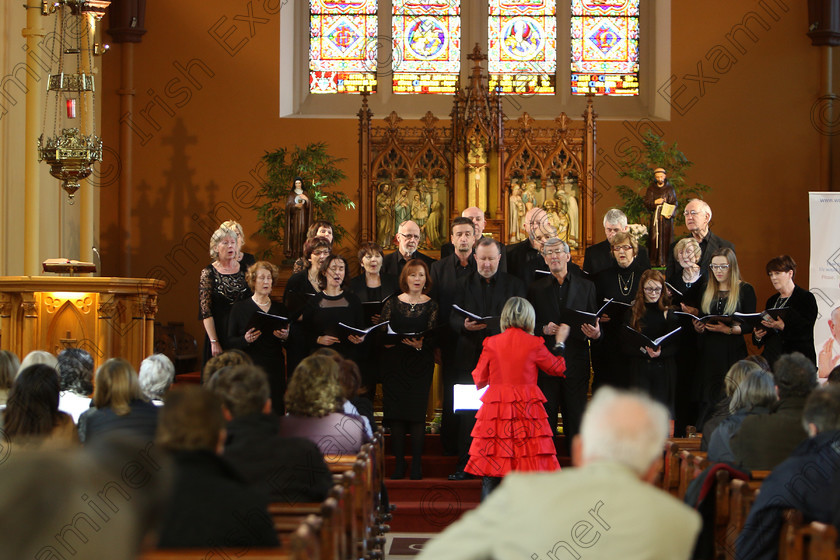 Feis04022018Sun43 
 40~45
Gaudate conducted by Pat Sheehan-Corbett.
 Holy Trinity Capuchin Church Adult Choirs Class: 76: “The Wm. Egan Perpetual Cup” Adult Sacred Choral Group or Choir Feis Maitiú 92nd Festival held in Fr. Matthew Hall. EEjob 02/02/2018 Picture: Gerard Bonus.