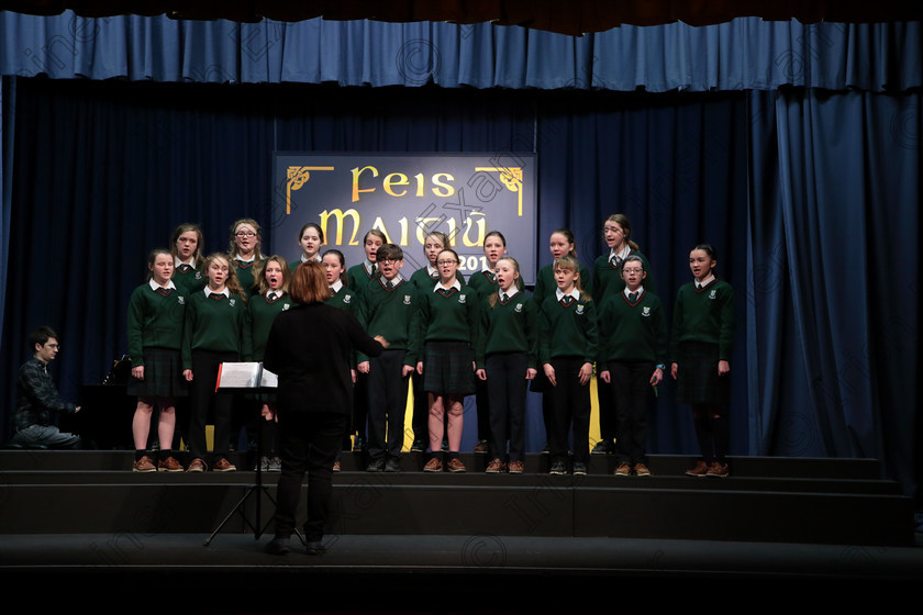 Feis12042018Thu44 
 44~45
Cashel Community School singing “The Tiger” and “Sally Gardens” Conducted by Helen Colbert and Accompanist Michael Young. 
 Singing Class: 83: “The Loreto Perpetual Cup” Secondary School Unison Choirs Feis Maitiú 92nd Festival held in Fr. Mathew Hall. EEjob 12/04/2018 Picture: Gerard Bonus