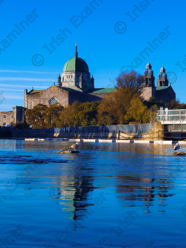 Michael Deligan Galway Cathedral Reflection 
 Galway Cathedral Reflection
Galway, Ireland