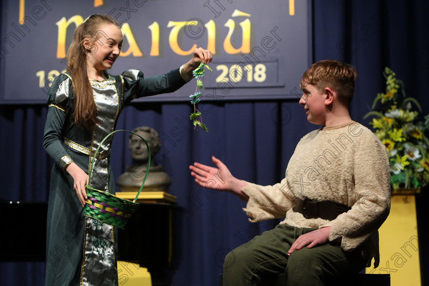 Feis15032018Thu27 
 25~26
Third Place for, Peter Long and Abi Murphy performing “16 going on 17” from The Sound of Music.
 Speech and Drama Class: 336: “The Trevor Ryan Perpetual Cup” Musical Drama Duo18 Years and Under Feis Maitiú 92nd Festival held in Fr. Mathew Hall. EEjob 15/03/2018 Picture: Gerard Bonus.