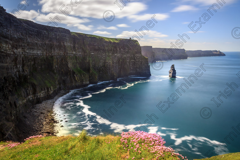 IMG 0914-Edit 
 Cliffs of Moher. Co. Clare

Taken in May 2015 when some flowers were beginning to show. A slightly lesser known view of the cliffs, but still as beautiful. One of my favorite spots in Ireland.

Picture: Colm Keating