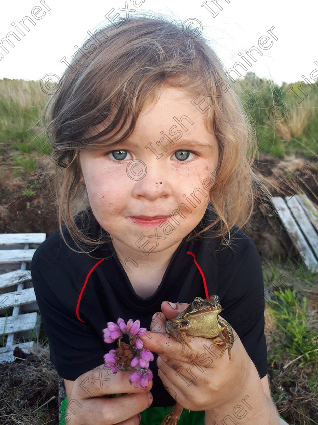 20170717 204716 
 Six year old Eshia Warde with her frog prince in the bog in County Galway