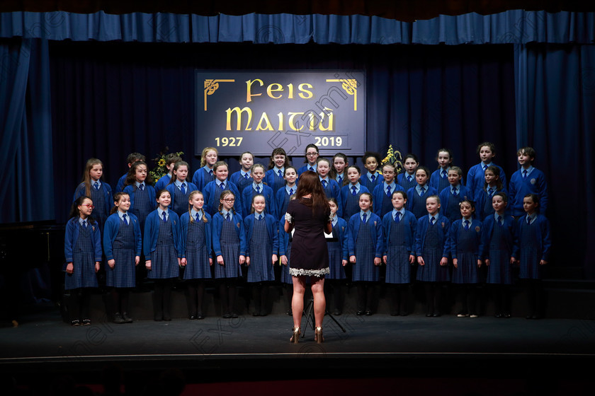 Feis28022019Thu10 
 10~13
Bunscoil Bhóthar na Naomh Lismore singing “The Bird’s Lament”.

Class: 84: “The Sr. M. Benedicta Memorial Perpetual Cup” Primary School Unison Choirs–Section 1Two contrasting unison songs.

Feis Maitiú 93rd Festival held in Fr. Mathew Hall. EEjob 28/02/2019. Picture: Gerard Bonus