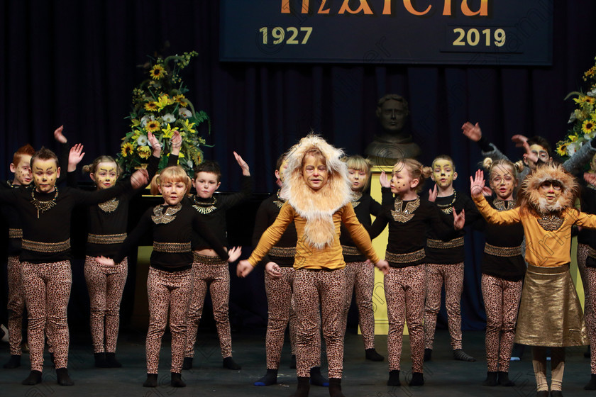 Feis12022019Tue19 
 17~24
Timoleague NS performing extracts from “The Lion King”.

Class: 104: “The Pam Golden Perpetual Cup” Group Action Songs -Primary Schools Programme not to exceed 8 minutes.

Feis Maitiú 93rd Festival held in Fr. Mathew Hall. EEjob 12/02/2019. Picture: Gerard Bonus