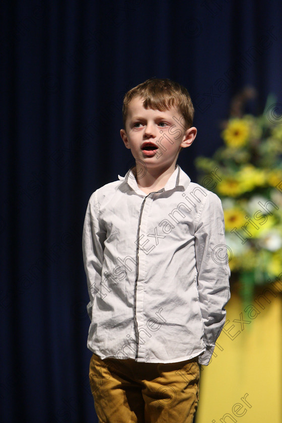 Feis22032018Thu24 
 24
Caoimhin Ó Murchú performing.
 Labhairt na Filíocht agus Míreanna Drámaíochta Class: 517: “Corn Helen” Bhéarslabhairt 7 Bliana D’Aois Nó Faoina Roinn 2 Feis Maitiú 92nd Festival held in Fr. Mathew Hall. EEjob 22/03/2018 Picture: Gerard Bonus