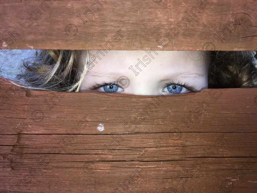 80A228B3-E1B3-4F64-8819-03FD1E171C0C 
 My 11 year old daughter Seoidin McBride took this photo of her younger sister- Laia McBride yesterday March 15th in Bonane Heritage Park in Kenmare peeking through a seated hut