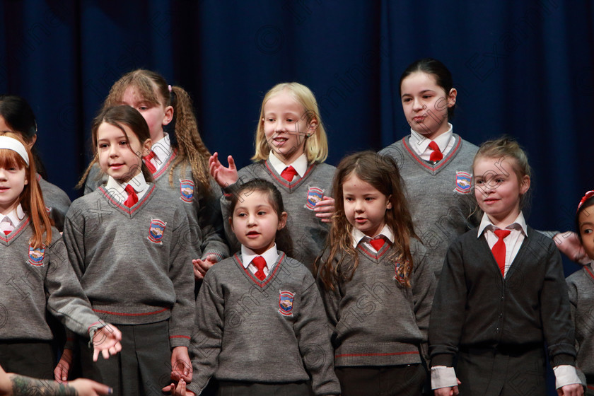 Feis27022020Thur09 
 6~10
The Rockboro Singers singing Dance Monkey.

Class:84: “The Sr. M. Benedicta Memorial Perpetual Cup” Primary School Unison Choirs

Feis20: Feis Maitiú festival held in Father Mathew Hall: EEjob: 27/02/2020: Picture: Ger Bonus.
