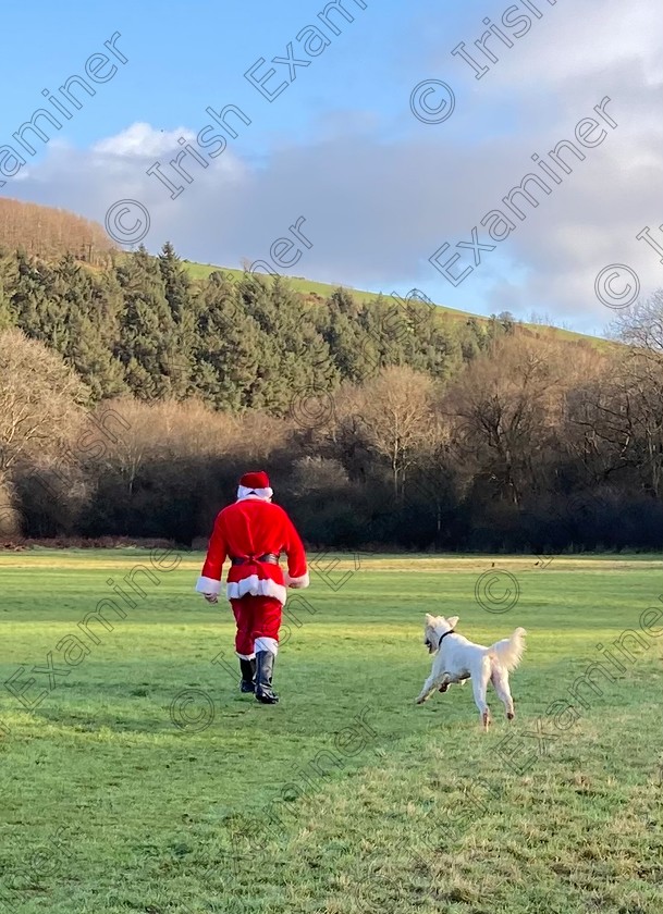 DAE59670-2623-4E28-BD68-E0D69461D915 
 â€œMy Dad tells me Iâ€™m the best boyâ€ Guide dog in training Zeplin, catching up with Santa Paws to remind him what a good boy heâ€™s been on a free run in Ballincollig Regional Park