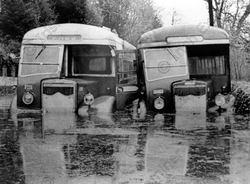 1072658 
 For 'READY for TARK'

Two busses bound for Cobh stranded near Fota during the worst flooding in Co. Cork for many years in September 1960 old black and white transport