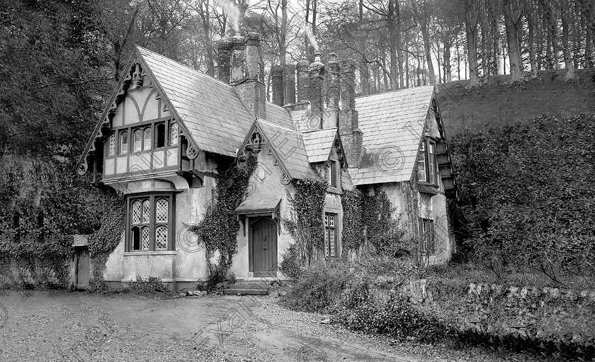 mallow3bwhires 
 For County -
The Tudor style Spa House, built in 1828 at Spa Glen, Mallow, Co. Cork 27/03/1933 Ref. 94B Old black and white mineral springs