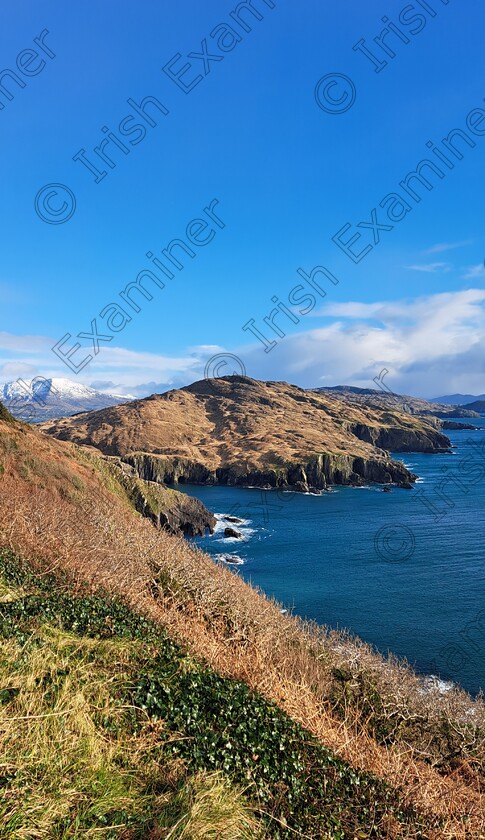 inbound29791809053744574 
 Snow on Hungry Hill, Beara Peninsula