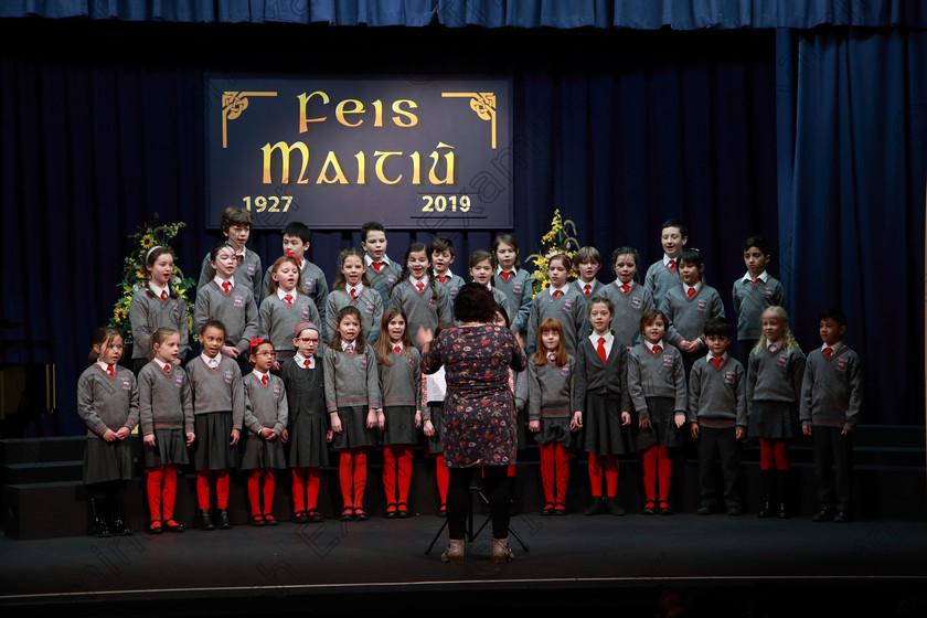 Feis01032019Fri08 
 8~10
Rockboro Singers singing “I’ll Be There”.

Class: 84: “The Sr. M. Benedicta Memorial Perpetual Cup” Primary School Unison Choirs–Section 2 Two contrasting unison songs.

Feis Maitiú 93rd Festival held in Fr. Mathew Hall. EEjob 01/03/2019. Picture: Gerard Bonus