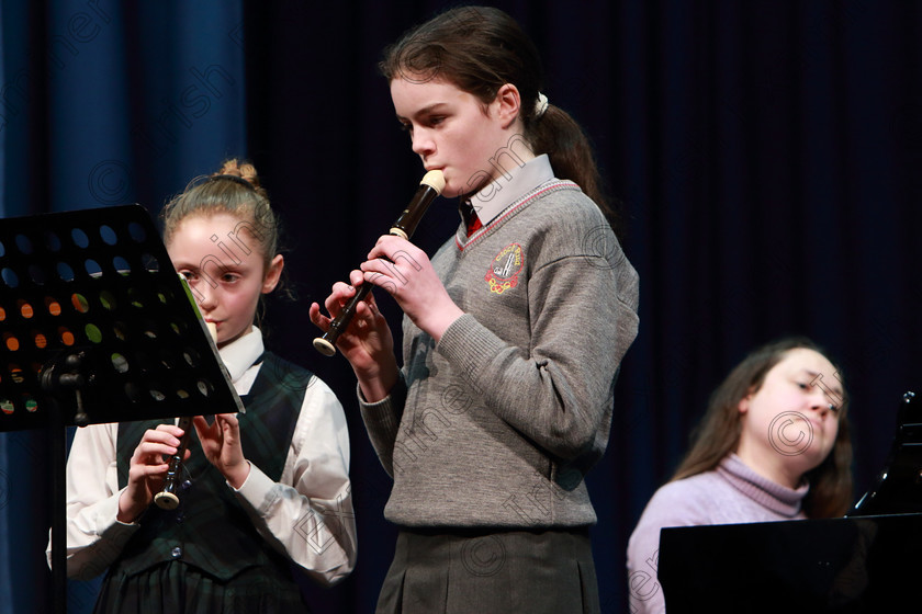 Feis08022019Fri02 
 2
Bronze Duet: Georgia Ellen Hynes McLoughlin and Lucy Kirwan from Tower performing.

Class: 225: Recorder Duets 13 Years and Under Programme not to exceed 6 minutes.

Feis Maitiú 93rd Festival held in Fr. Matthew Hall. EEjob 08/02/2019. Picture: Gerard Bonus