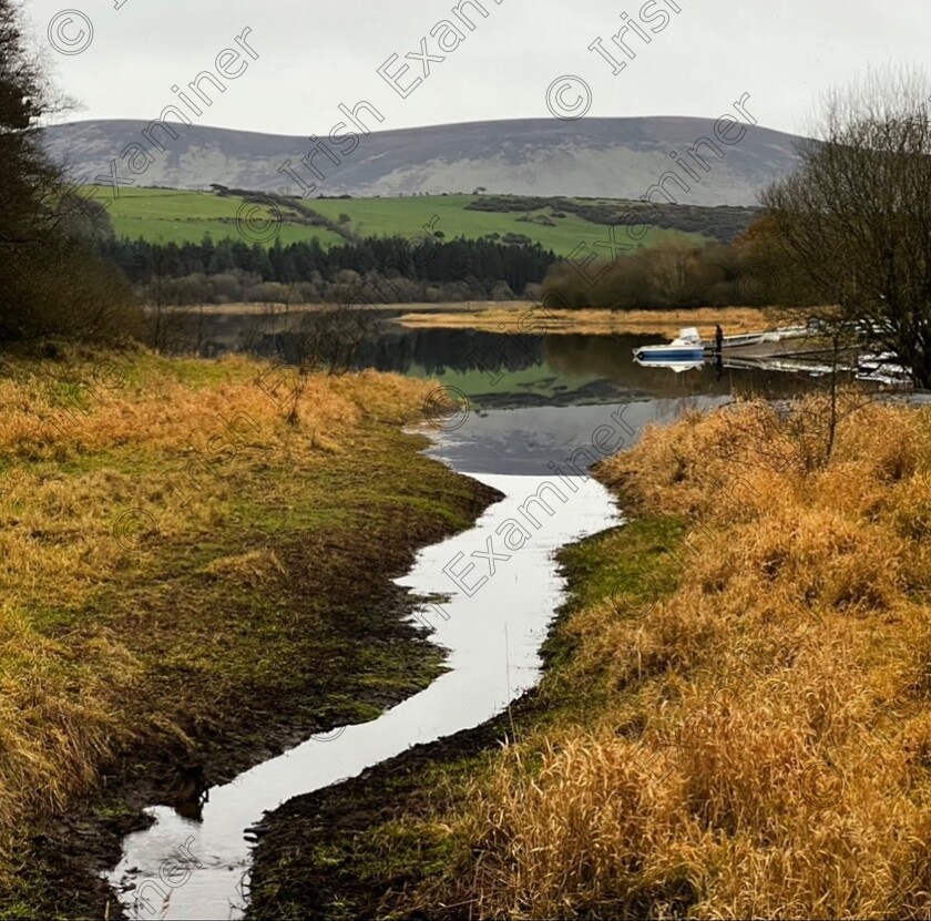 60B7965B-4E8C-4676-A0D6-15B71C779D00 
 Morning dew. Boating in Blessington one fine morning in December â€˜21