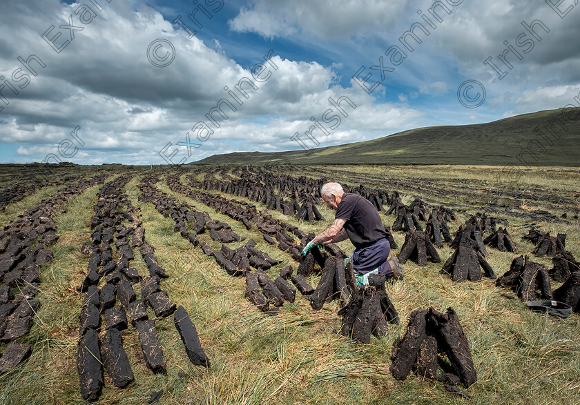 Sinclair Adair The Turf Cutter 
 The Turf Cutter, In Parts of Rural Ireland the cutting and burning turf is still in use, This was taken in the Comeragh Mountains Co. Waterford Picture; Sinclair Adair