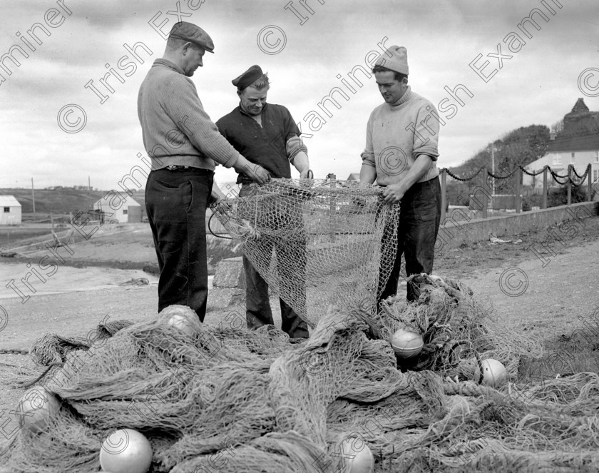 871066 
 For 'READY FOR TARK'
Cork Weekly Examiner feature on fishing at Baltimore, West Cork 15/10/1957 Ref. 708J old black and white fisheries