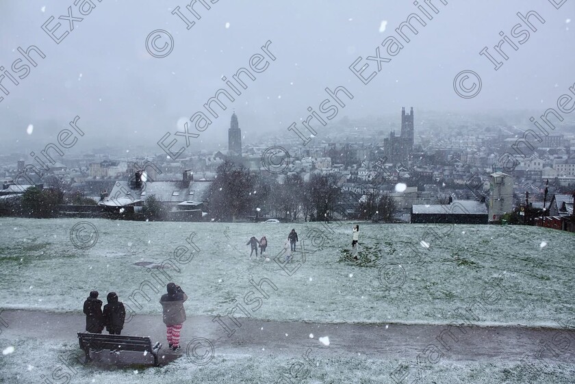 E3487782-2BFE-4BA2-A424-A0EC0D91483D 
 Winter is here, Bells Field, Patrickâ€™s Hill, Cork City, Cork, Ireland. 5th January 2025, SinÃ©ad Barry