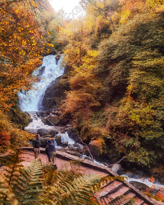 IMG 20221010 093703-01 
 Autumn vibes at Torc Waterfall in Killarney National Park