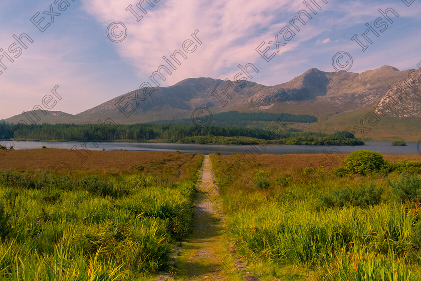 Lough Inagh - SEP 24 2 (20 of 27) 
 A long trail on the banks of Lough Inagh, Connemara, Co. Galway