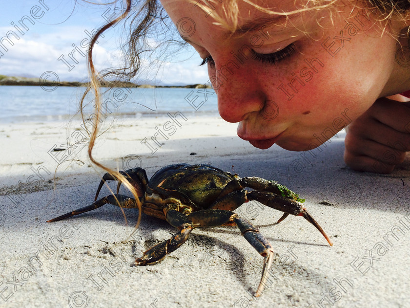 IMG 4578 
 My friend Dara Gill "crab kissing" on inishbofin last summer. Picture: Zoe Ardiff