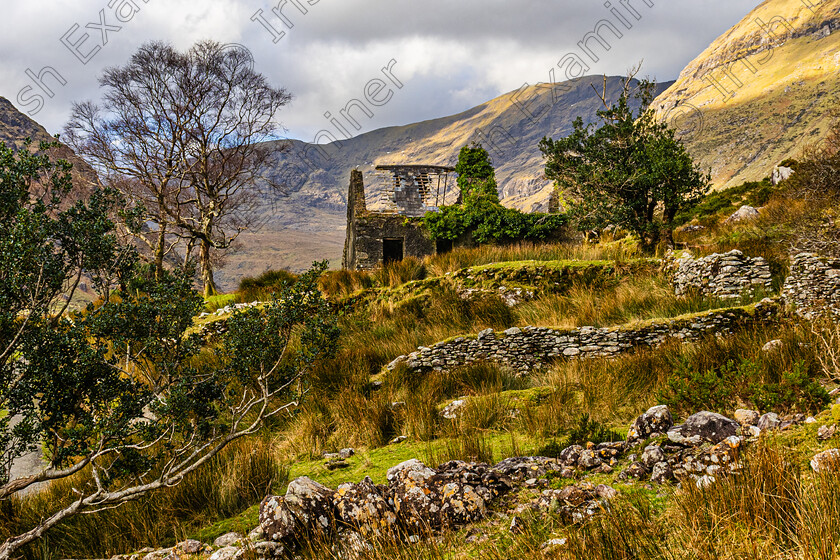 Mollys Cottage-Black Valley-1464 
 "Mollys Cottage " in the Black Valley Co Kerry with the slate roof now almost gone! I love the layers of old stone walls and also the tall Birch trees on the left. Photo taken Jan 18th 2025 by Noel O Neill 
 Keywords: KCC, Mollys Cottage