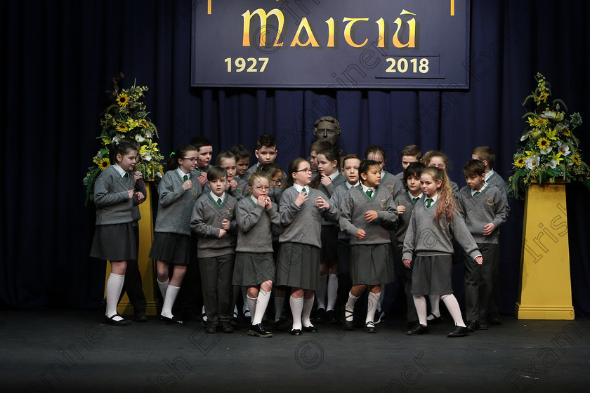 Feis23022018Fri06 
 6~14
An Teaghlaigh Ballyphehane performing.
 Speech and Drama Class: 476: “The Peg O’Mahony Memorial Perpetual Cup” Choral Speaking 4th Class Feis Maitiú 92nd Festival held in Fr. Mathew Hall. EEjob 23/02/2018 Picture: Gerard Bonus.