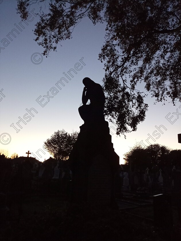 Photo comp 2 
 Pensive at dusk, St Finbarrs Cemetery, Glasheen, Cork