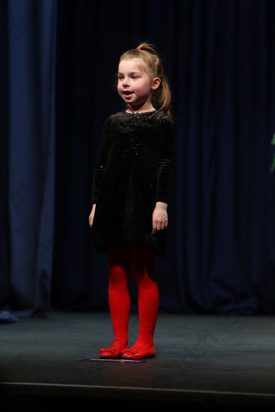 Feis24022018Sat49 
 49
Charlotte Purcell performing.
 Speech and Drama Class: 369: Solo Verse Speaking Girls 6 Years and Under Section 3 Feis Maitiú 92nd Festival held in Fr. Mathew Hall. EEjob 24/02/2018 Picture: Gerard Bonus.