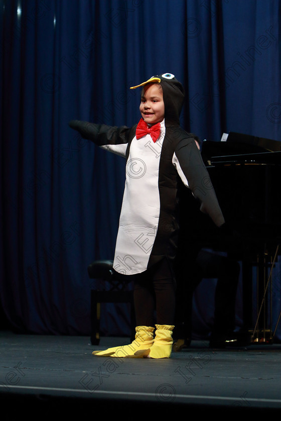 Feis11022020Tues28 
 28
A Bronze Performance: Sophia Considine from Rochestown singing The Penguin Dance.

Class: 115: “The Michael O’Callaghan Memorial Perpetual Cup” Solo Action Song 8 Years and Under

Feis20: Feis Maitiú festival held in Father Mathew Hall: EEjob: 11/02/2020: Picture: Ger Bonus.