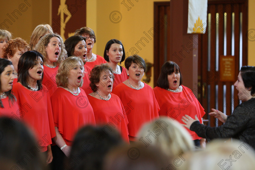 Feis04022018Sun21 
 17~23
Java Ladies Chorus conducted by Serena Standley.
 Holy Trinity Capuchin Church Adult Choirs Class: 76: “The Wm. Egan Perpetual Cup” Adult Sacred Choral Group or Choir Feis Maitiú 92nd Festival held in Fr. Matthew Hall. EEjob 02/02/2018 Picture: Gerard Bonus.