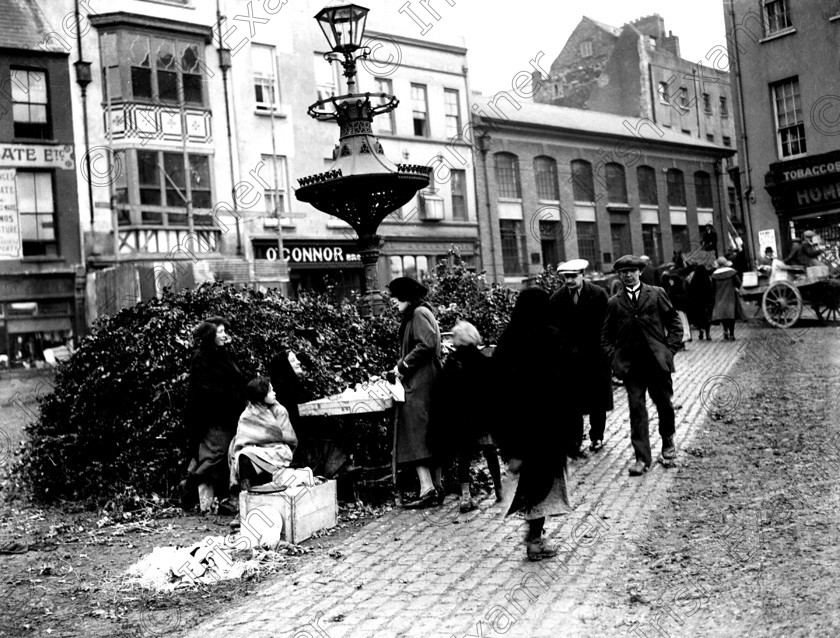 CSS14- shandon-street 
 CHRISTMAS HOLLY IN SHANDON STREET AT DUNSCOMBE FOUNTAIN, EARLY 1920'- NOW & THEN PHOTO COLLECTION