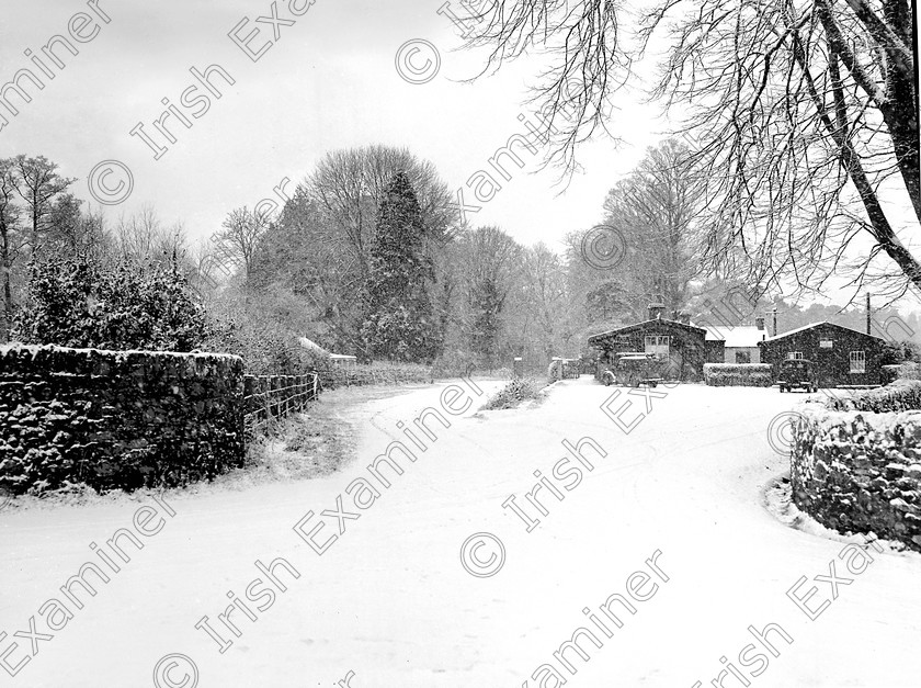castleentrancebwhires 
 For 'READY FOR TARK'
New Year's Day snow scene at the old railway station near Blarney Castle. 01/01/1956 Ref. 703H Old black and white weather winter